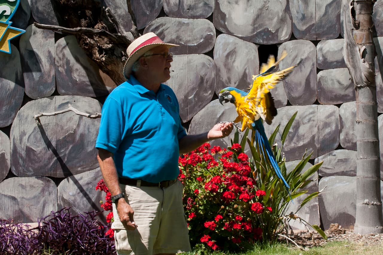 Un bello dia fue perfecto para las familias desde Bakersfield a Modesto.