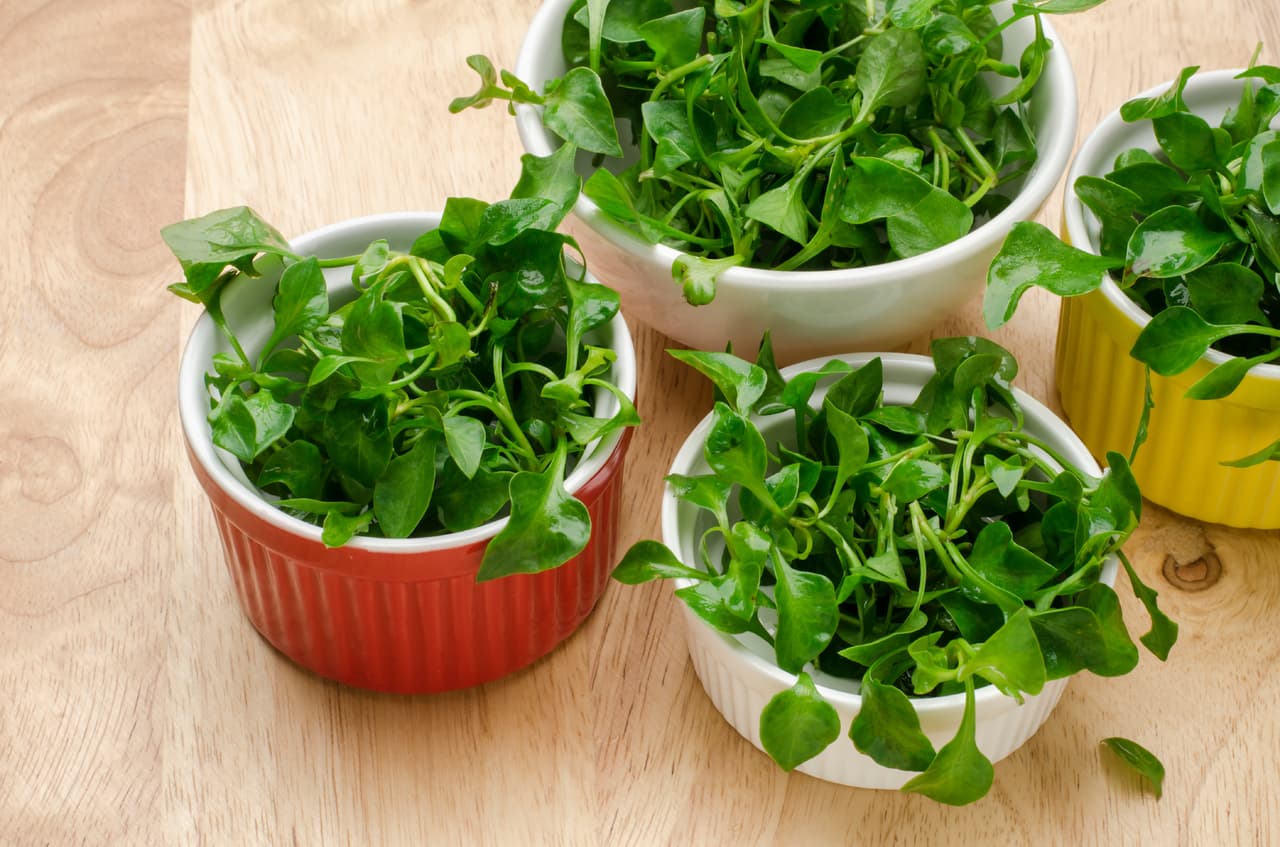 Berro: Sus nutrientes como el betacaroteno son excelentes para para preservar la salud de los ojos de manera natural. Contiene altos niveles de vitaminas A, B y C, y al incorporarlo a tu dieta le aportarás a tus cuerpos nutrientes necesarios como potasio, calcio y hierro.