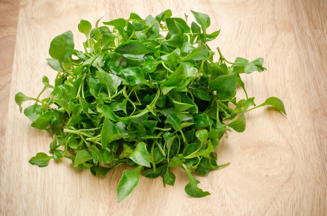 Al consumirlo notarás sus increíbles acciones antivirales, además de reducir y equilibrar tus niveles de azúcar en la sangre.