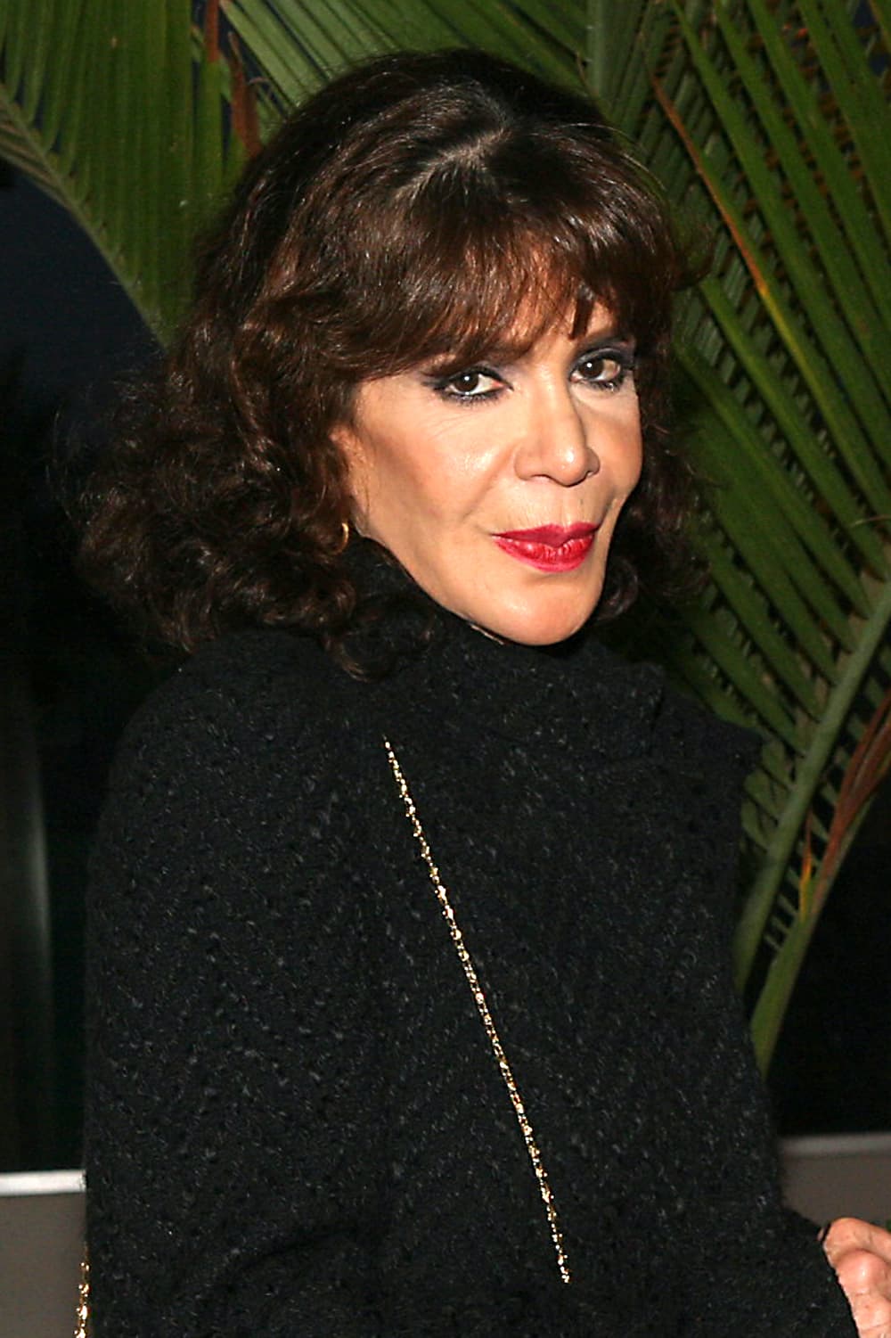 David señaló que todavía no ha sido admitida en La Casa del Actor, pero por el momento se encuentra 
<b>resguardada y recibiendo la atención médica </b>que necesita.
<br>