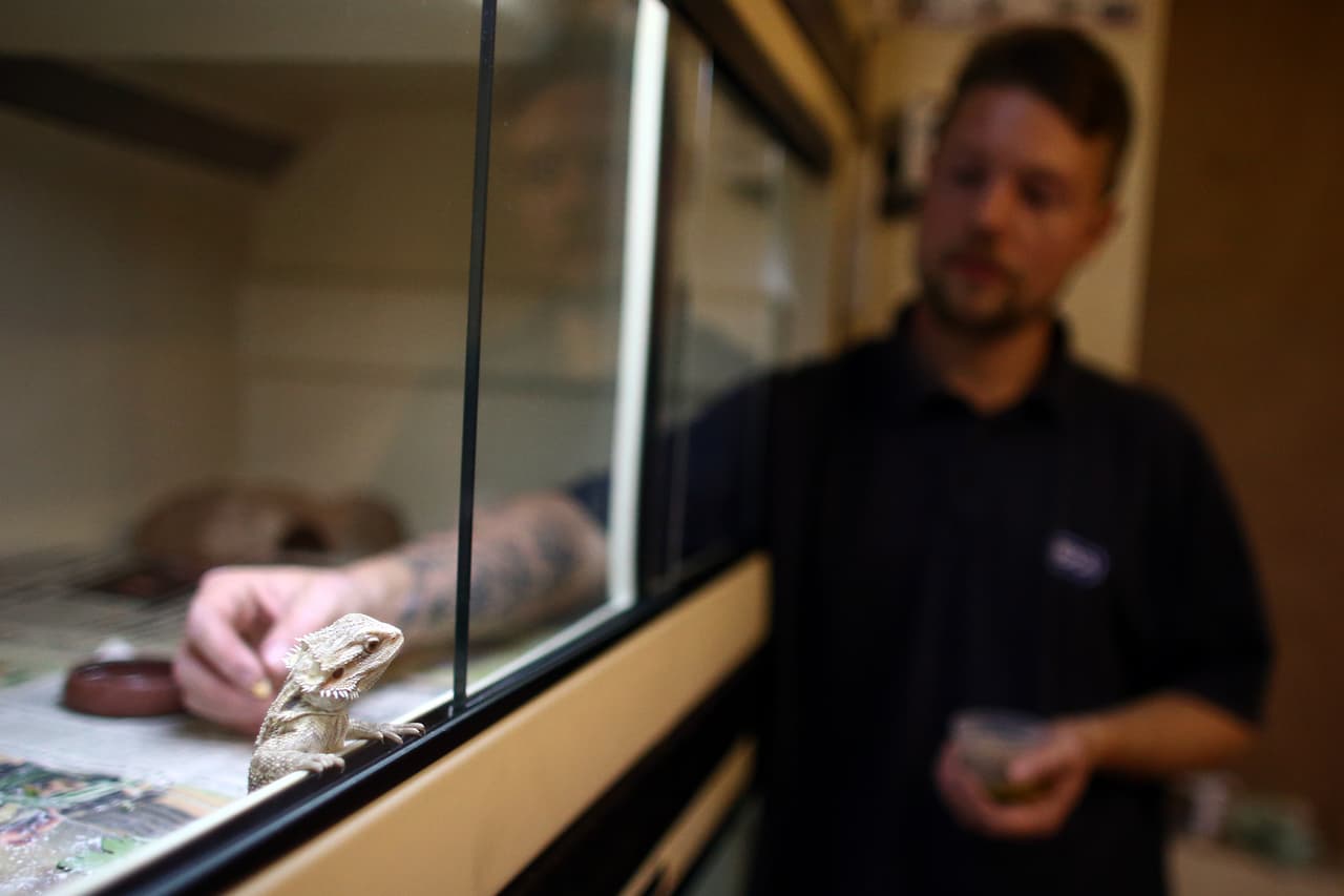 Personal calificado y amante de la naturaleza es el que se encarga de verificar la salud y el estado de las criaturas.