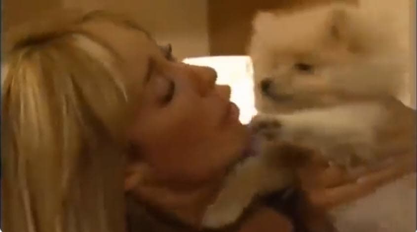 Casi a la medianoche del sábado, la madre de dos hijos, 
<b><a href="https://www.univision.com/famosos/en-plena-cuarentena-el-hijo-mayor-de-anahi-da-gracias-a-dios-y-pide-un-deseo-que-ahora-es-imposible-cumplir-video" target="_blank">Manuel y Emiliano</a></b>, retuiteó otra imagen de su fallecida mascota. 
<br>