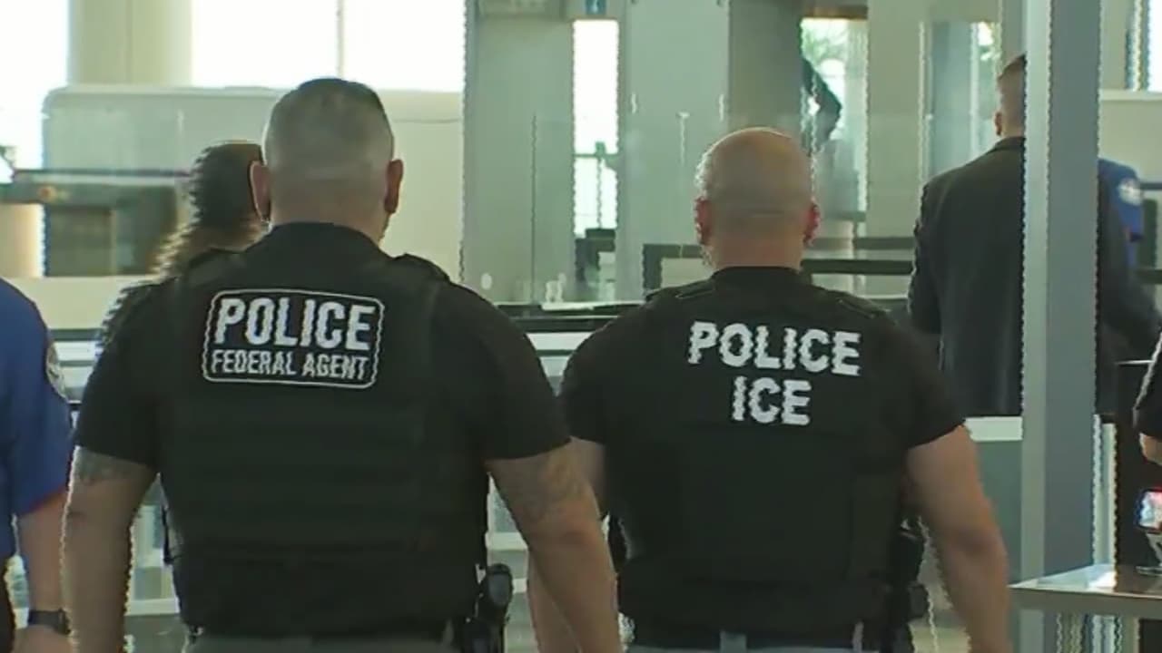 ¿Aerolíneas comparten datos migratorios con ICE? Esto revelan abogados de inmigración