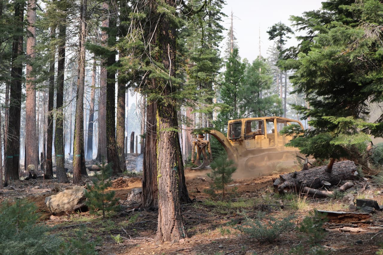 <a href="https://www.fs.usda.gov/eldorado/" target="_blank">Bosque Nacional El Dorado</a>: Este parque está siendo afectado por el 
<a href="https://inciweb.nwcg.gov/photos/CAENF/2020-09-08-1656-Fork-Fire/related_files/pict20200809-235145-0.pdf" target="_blank">incendio Fork</a> el cual ha consumido 2,500 acres y ha sido contenido en un 0%.