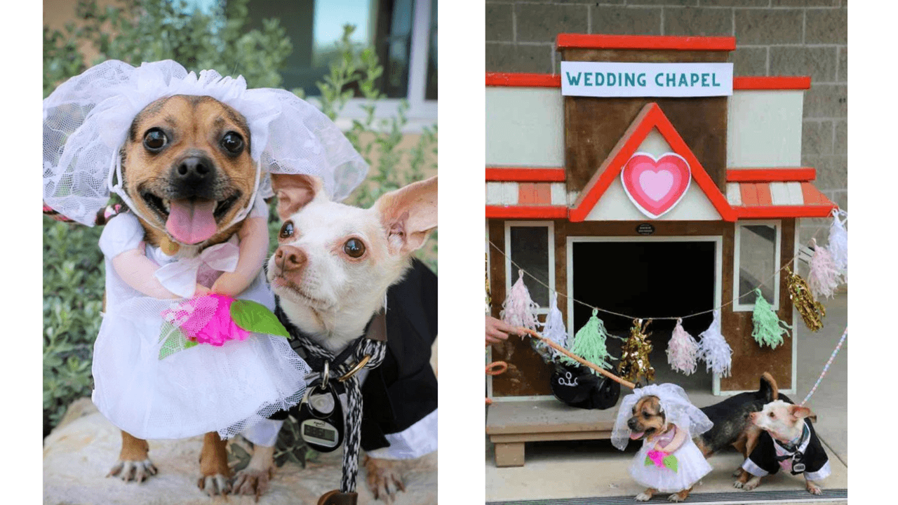 Así fue la mini capilla donde se casaron