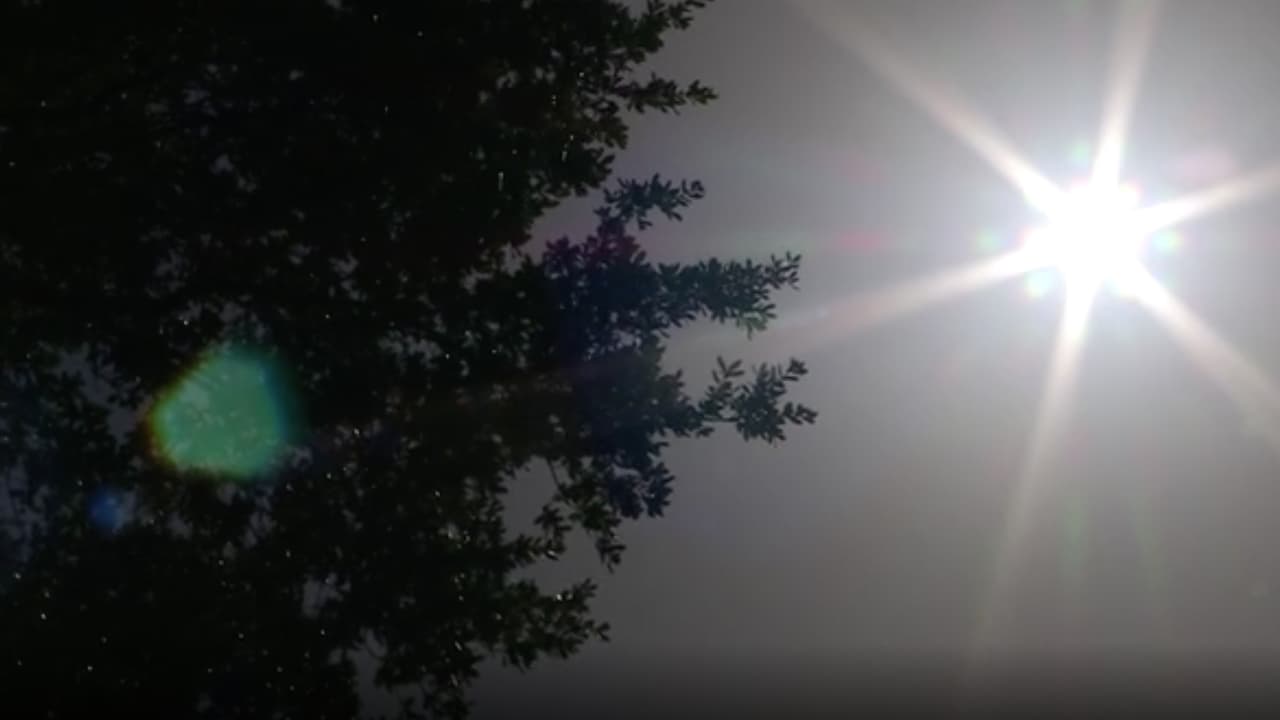 “Rápidamente pierden los electrolitos y pueden caer en paro cardíaco de inmediato, nunca trate de dejar a los niños, aunque sea por 5 minutos, se olvidan los niños y suceden las tragedias”, recomienda el pediatra Martin Yudovich.