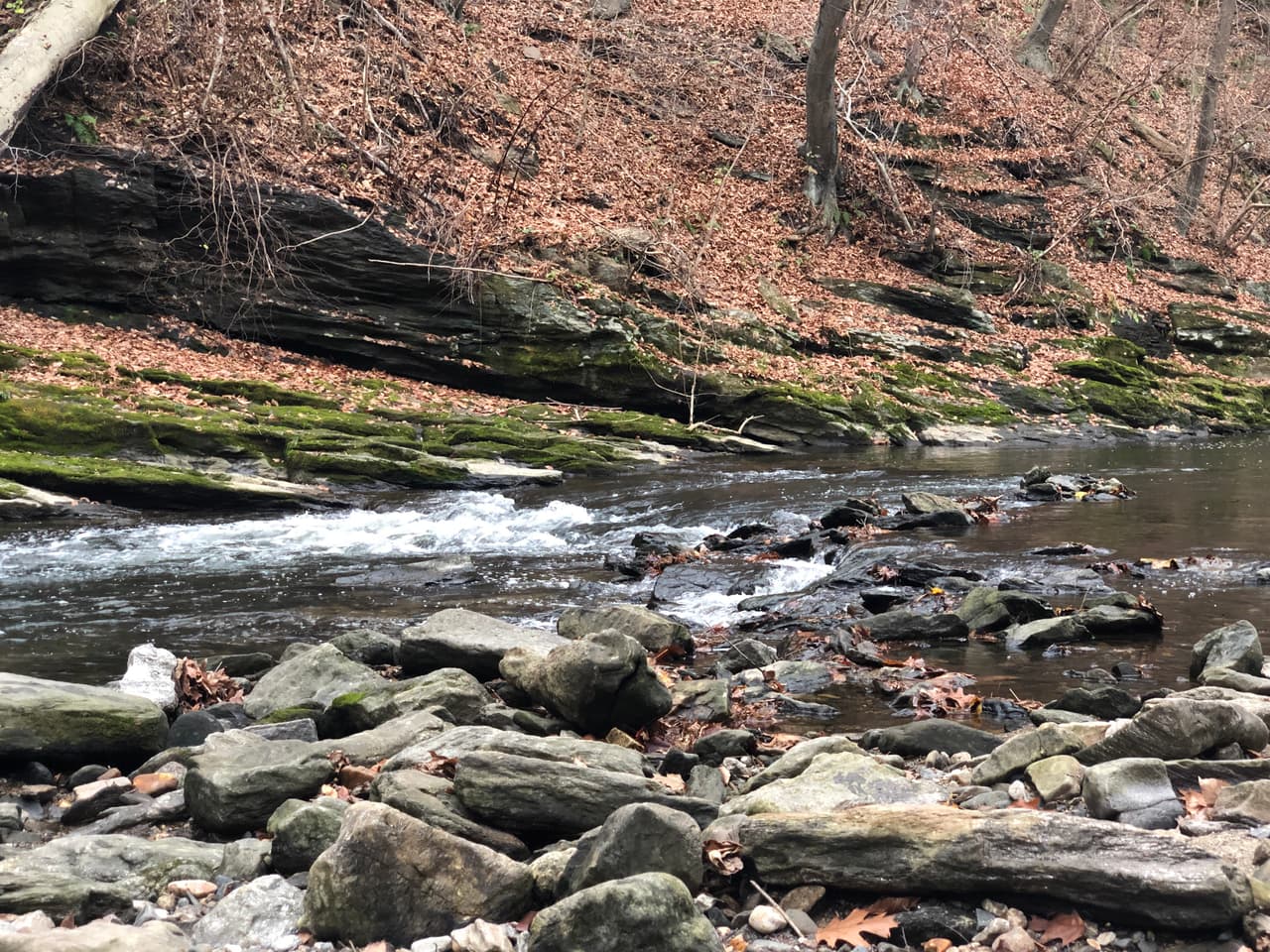 El arroyo que se fusiona con el río Schuylkill sustituye el ruido de la ciudad por una experiencia de total tranquilidad.