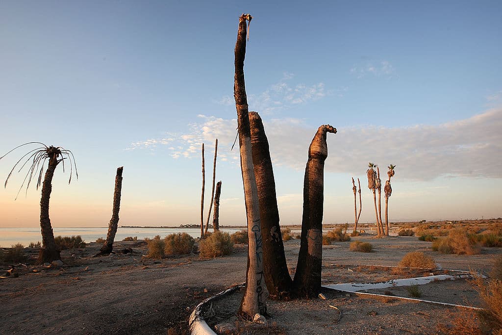 En 2001 y 2009 la región también experimentó episodios sísmicos similares, con una multitud de temblores registrados en el lapso de varios días (foto de archivo 2011).