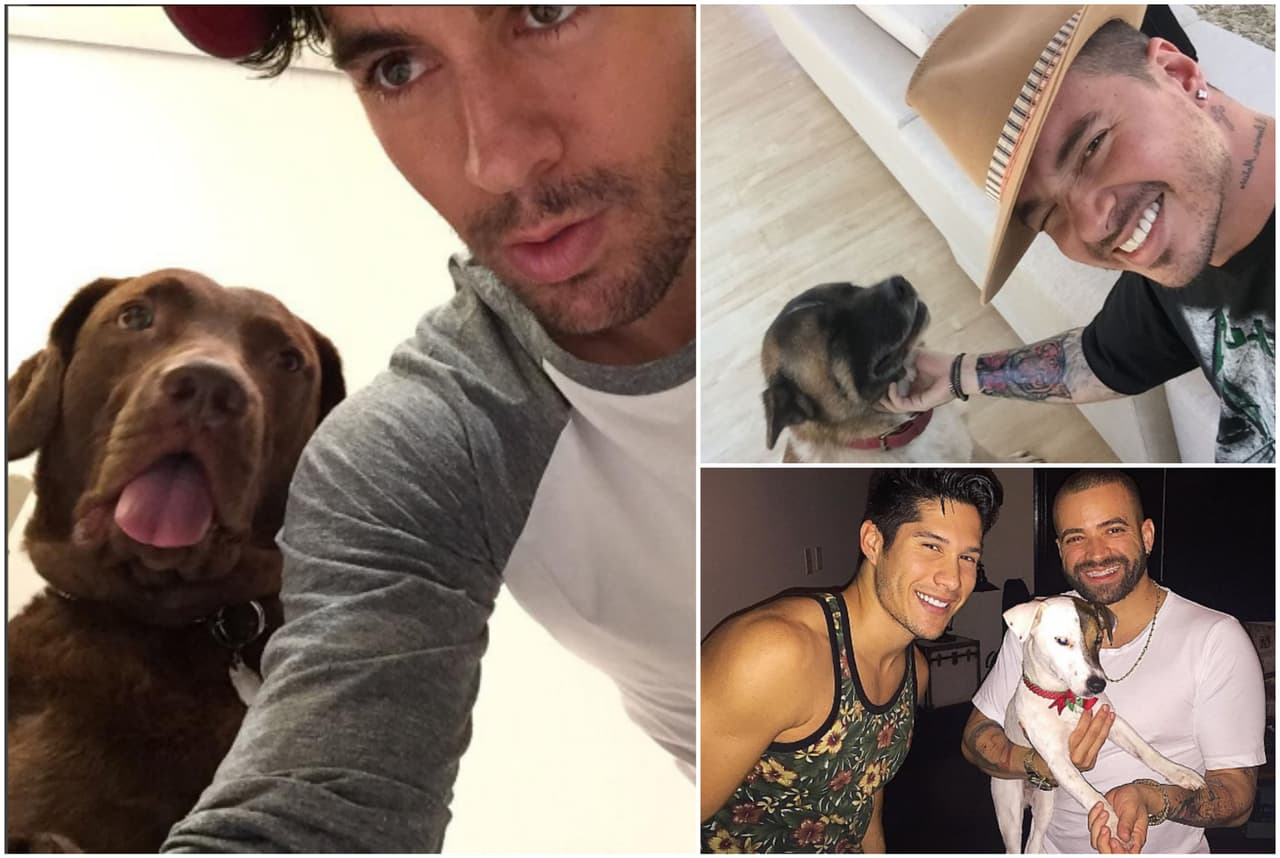 Estos nominados de Latin GRAMMY están enamorados de la música, pero también tienen grandes amores como sus fieles perros que no se cansan de presumirlos en las redes.