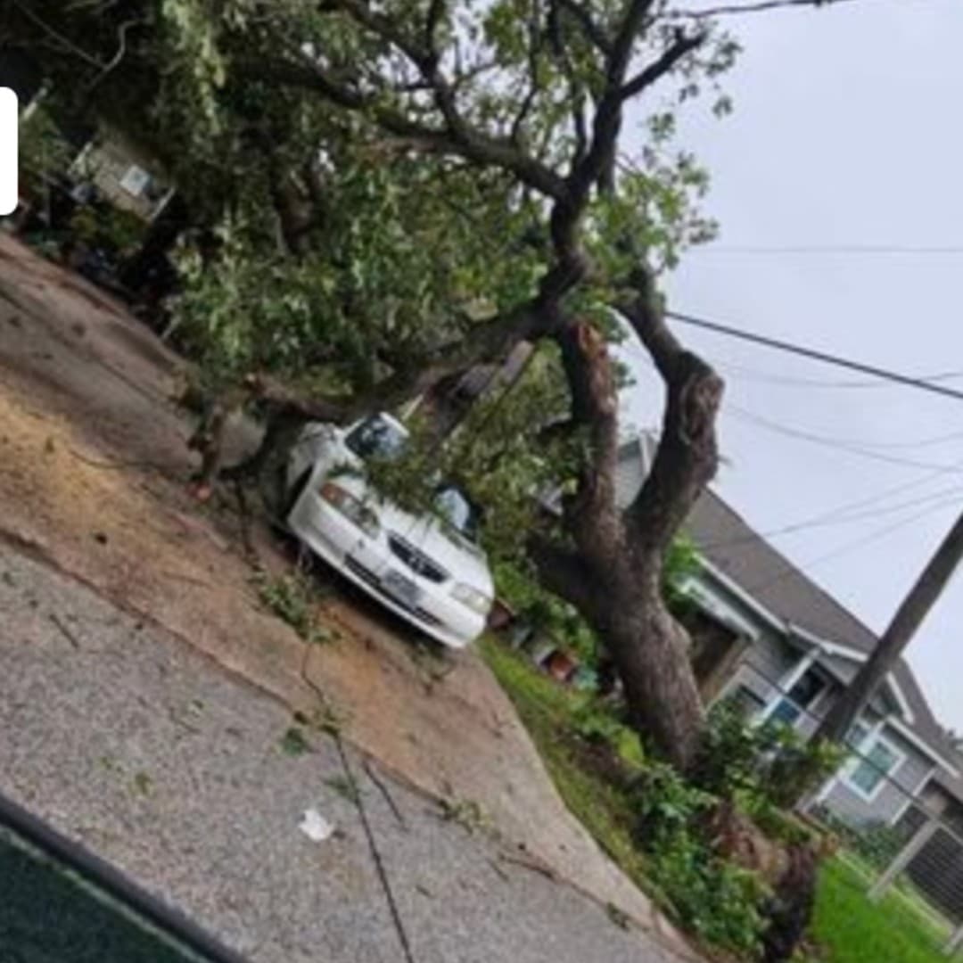 Las pérdidas por la caída de árboles son incontables, según nos muestra Crixi Coello.