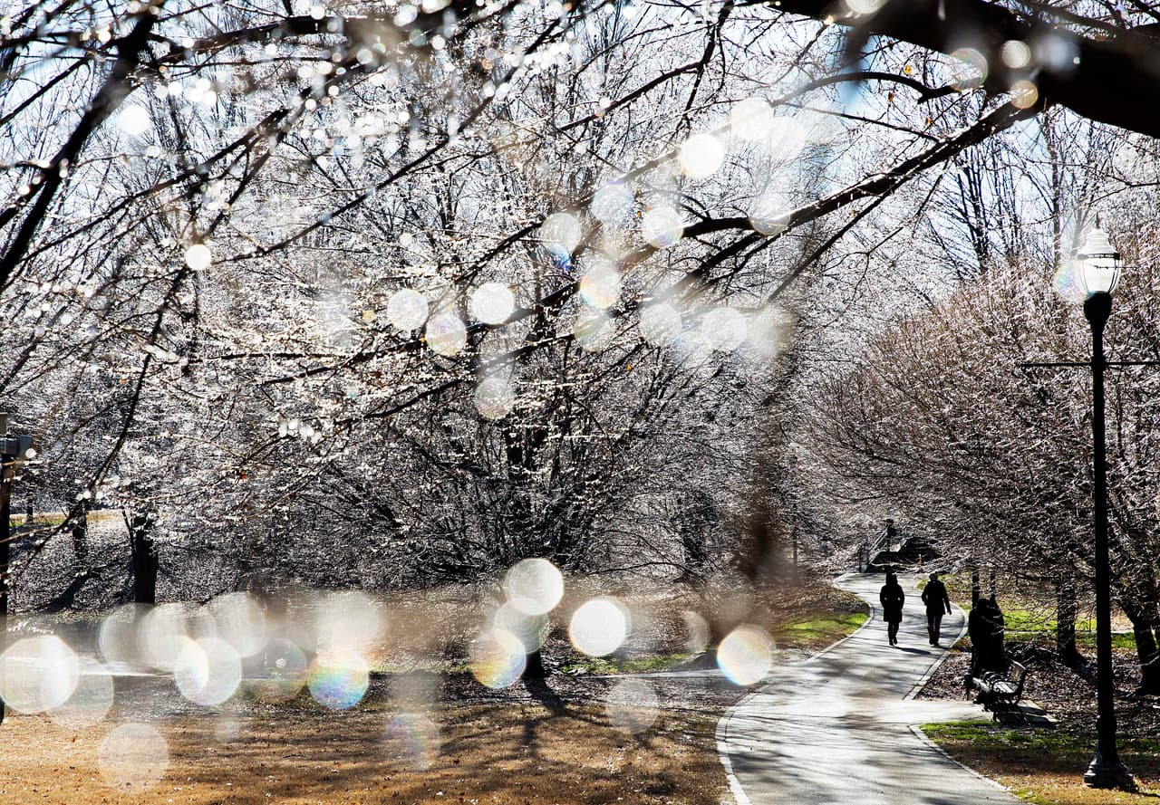 El hielo cubre árboles en el parque de Piedmont después de que una tormenta del invierno pasara a través de Atlanta.