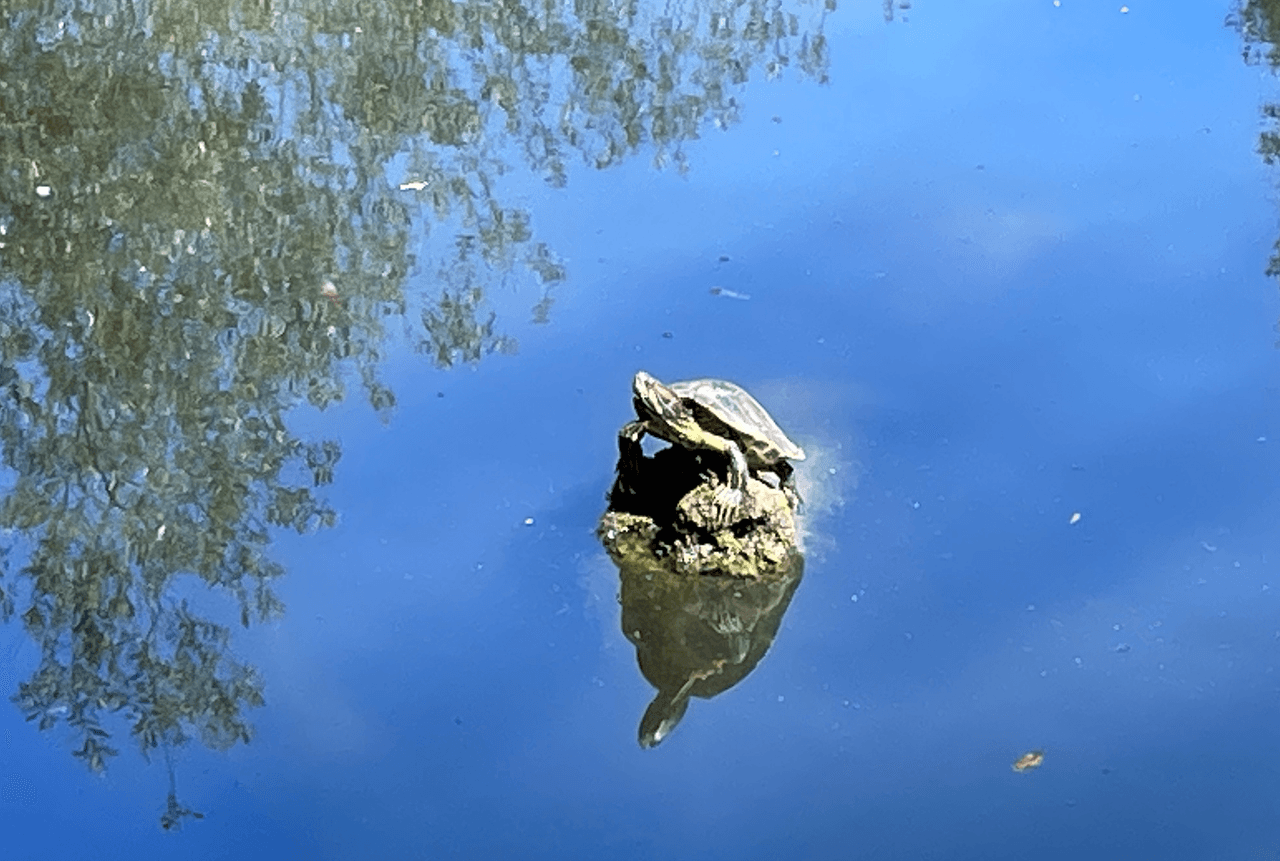 La vía te orienta y aunque veas autos estacionados en el camino, te aseguramos que al final hay un amplio y seguro estacionamiento.