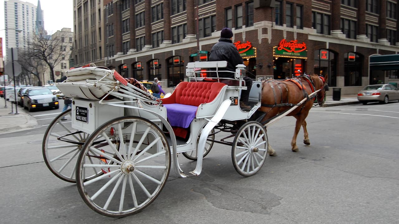 Buscan prohibir los carruajes de caballos en Chicago