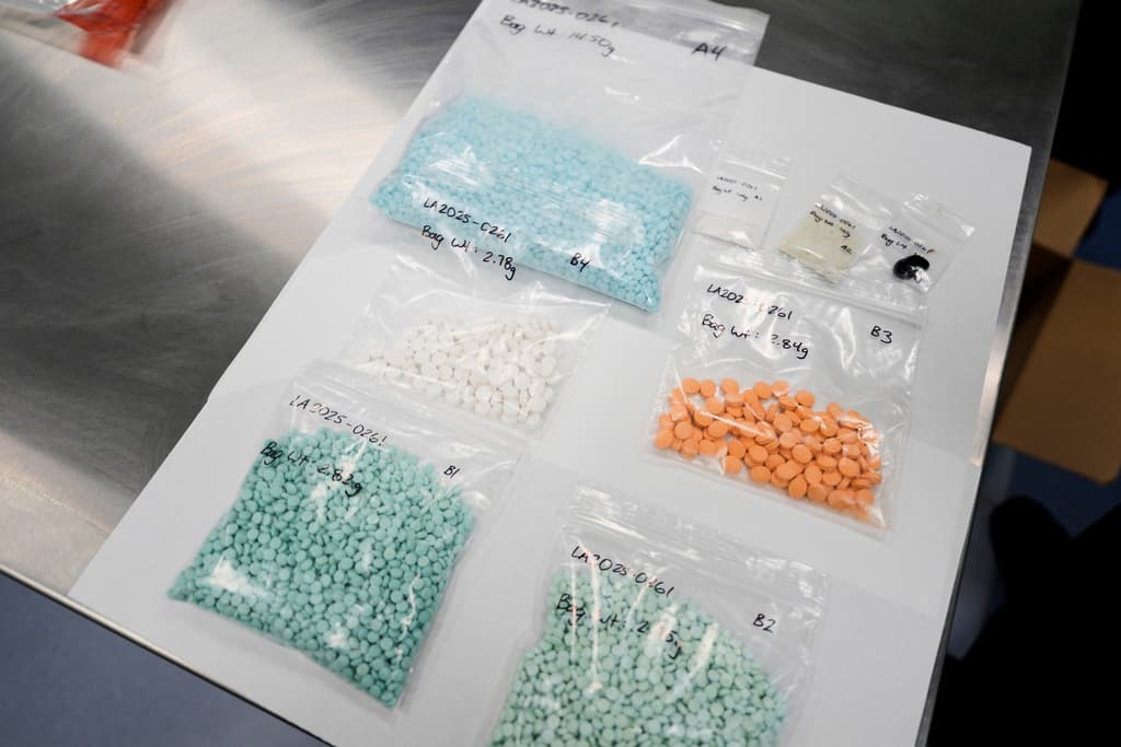 La Secretaria de Seguridad Nacional también vio otra variedad de
<b>narcóticos incautados</b> a distintas personas en el puerto fronterizo en San Diego.