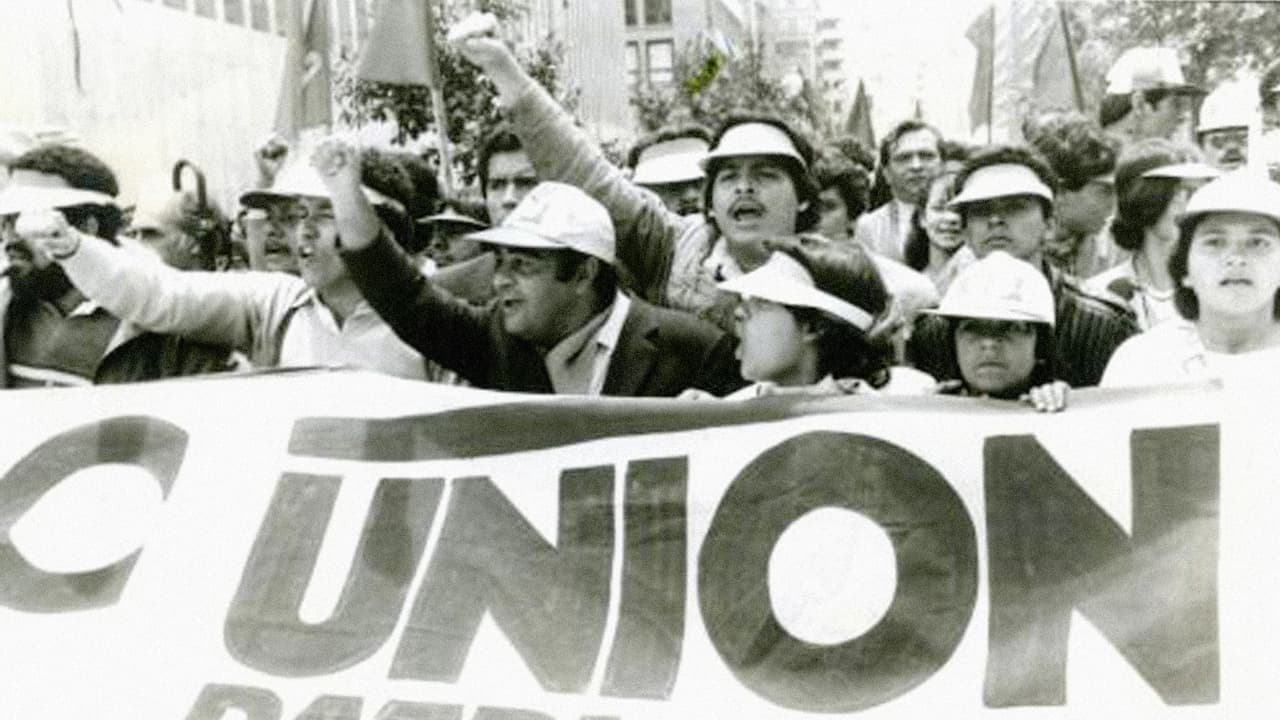 En noviembre de 1982 se aprueba una Ley General de Amnistía para la guerrilla. Dos años después se pacta un cese del fuego, al tiempo que surge el movimiento Unión Patriótica, brazo político de las Farc, que va a elecciones, mientras continúa armado en la selva. UP logra elegir en 1986 a 4 congresistas, 18 diputados y 335 concejales. La mayoría de sus líderes fueron asesinados, lo que complicaría cualquier acuerdo de pacificación en el futuro.