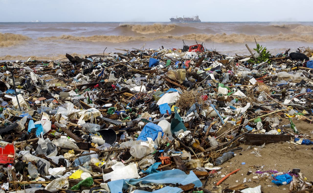 Un grupo de parlamentarios se reunió con el ministro de Medio Ambiente, Tarek el Jatib. Examinaron la creación de una comisión que investigue la contaminación en las playas.