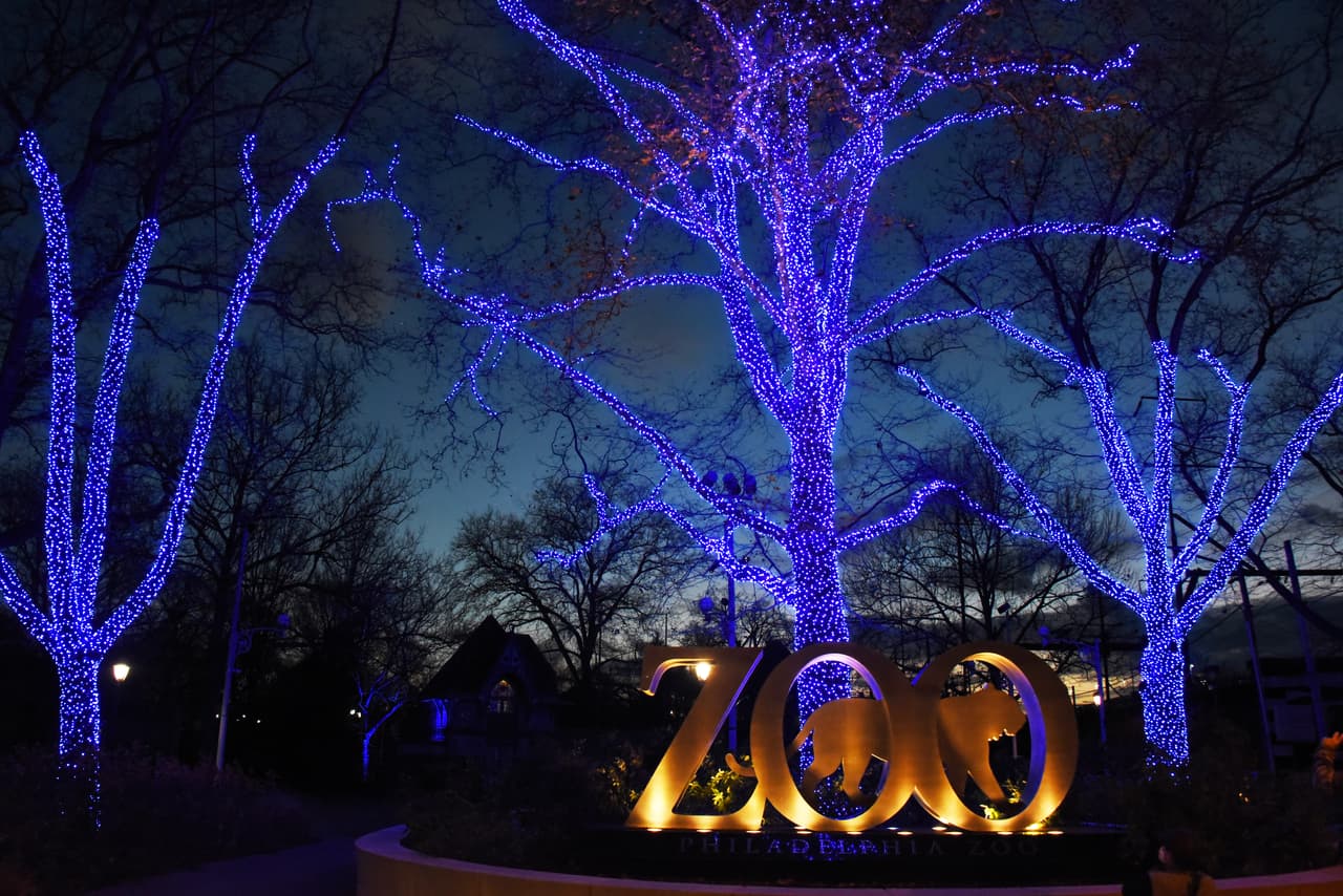 Se ilumina por Navidad el primer zoológico de Estados Unidos y sus luces simbolizan "gracias" 