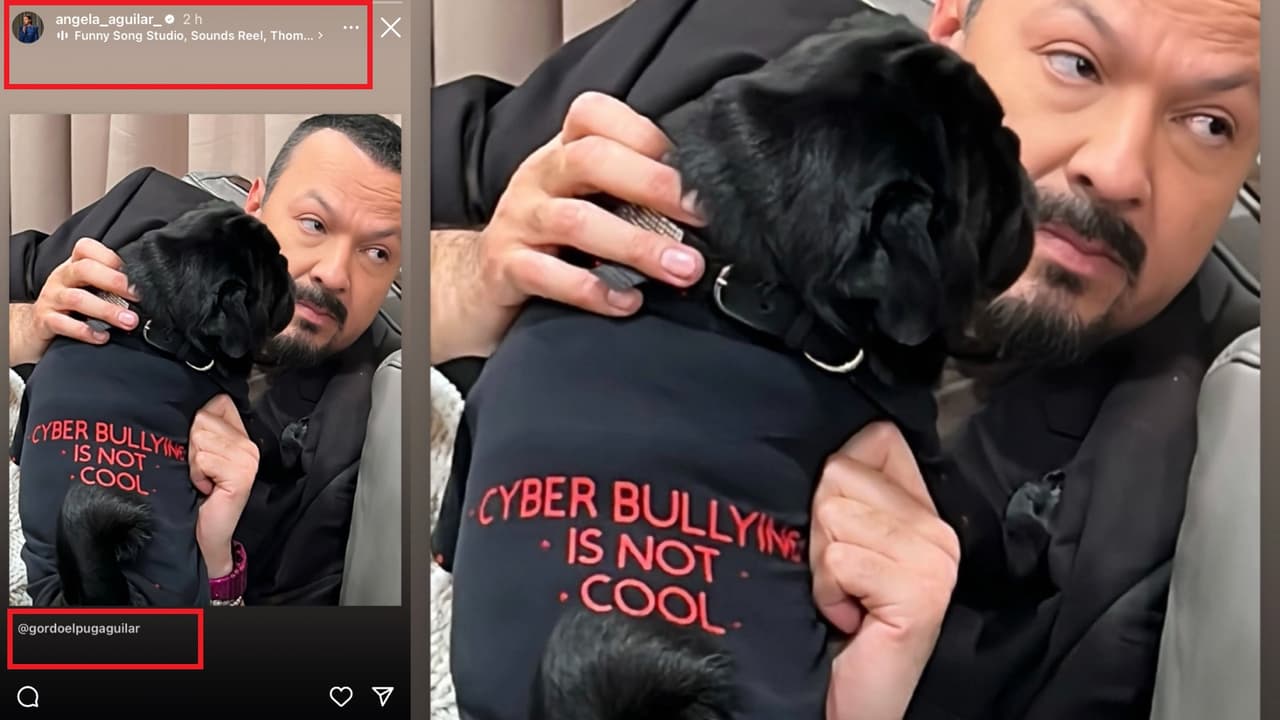 Este es el mensaje que Ángela Aguilar replicó desde la cuenta de Instagram de la mascota de su papá y con el que parece decir 'basta' ante el "ciberacoso".