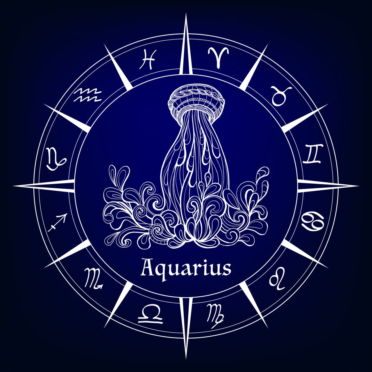 <b>ACUARIO</b>
<br>Solución: Diseña y crea algo original / 
<b>Arquetipo: El inventor</b>
<br>Cuando surgen los problemas, el acuariano tiende a desarrollar su creatividad, afirmar su inventiva y buscar soluciones imprevisibles que asombran a todos. 
<br>