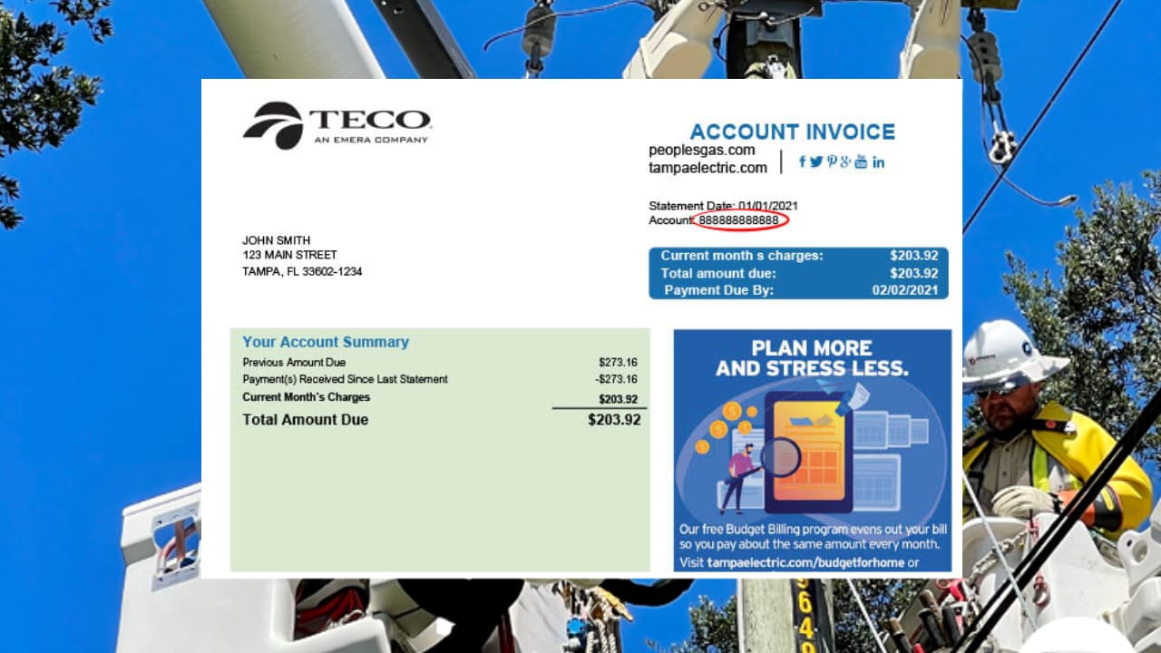 El costo de la energía eléctrica subirá en enero, ¿cómo ahorrar en la factura?