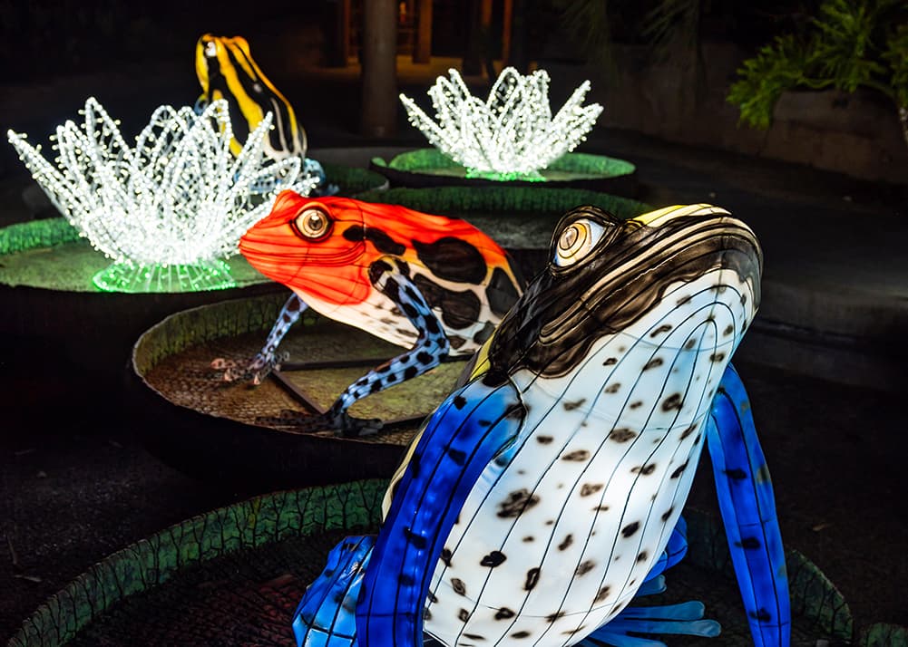 El festival está abieryo desde el 15 de noviembre y hasta el 5 de enero en el 5333 Zoo Dr. en Griffith Park.