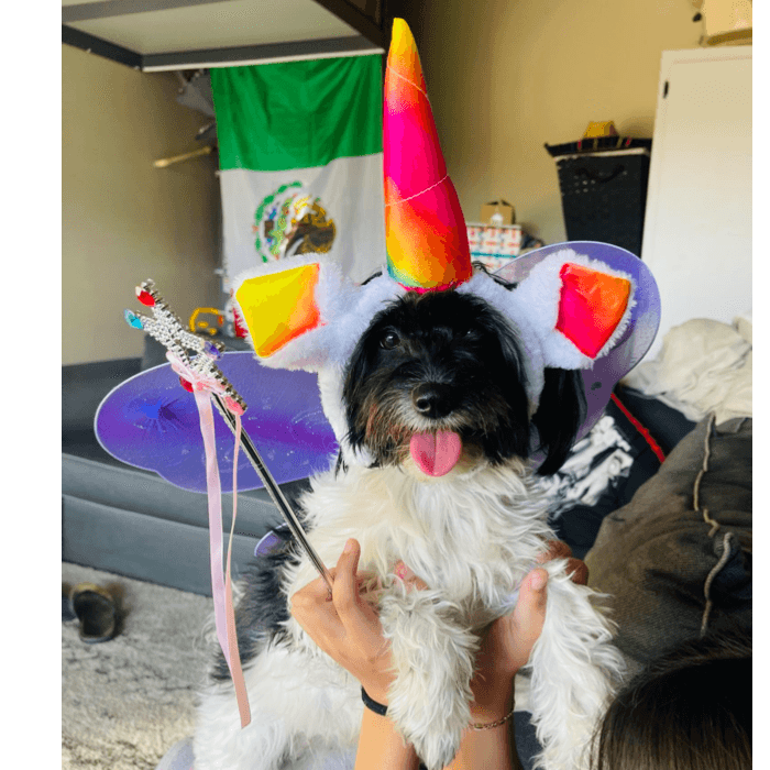 Presumiendo su vestuario de verano en Las Vegas.