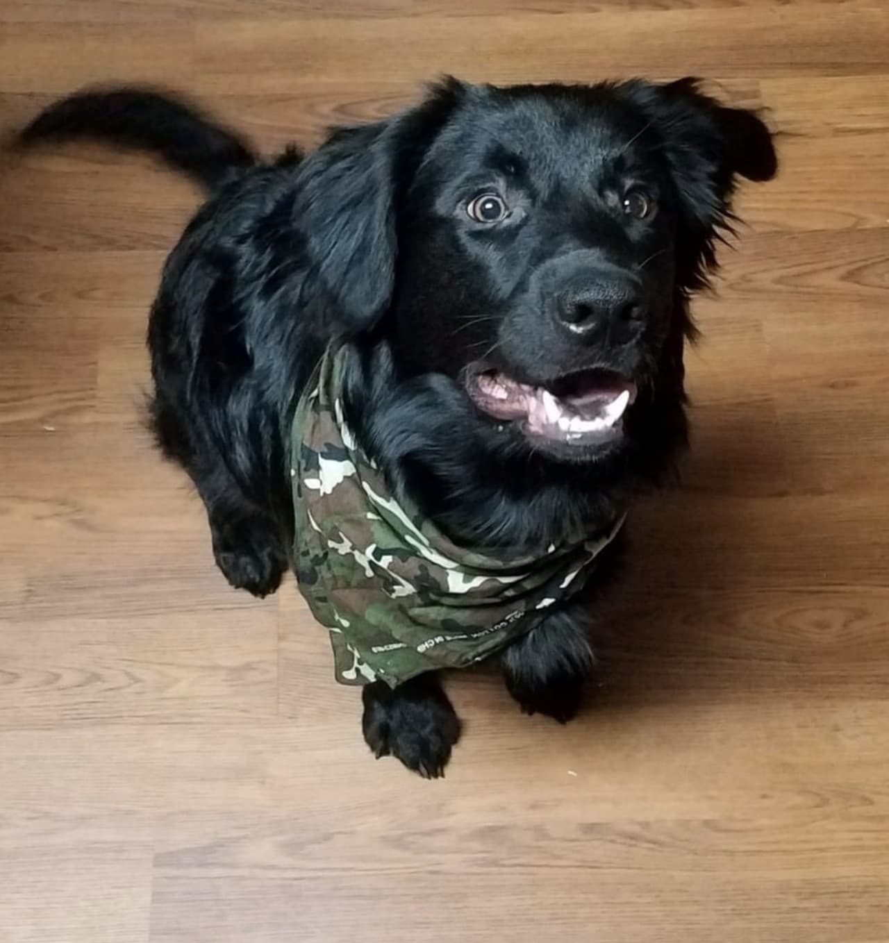 "Llame a Cactus (papá de Jack) al 
<a target="_blank" href="tel:8282923521">828-292-3521</a> con cualquier información adicional", agregó Kandy Adams.