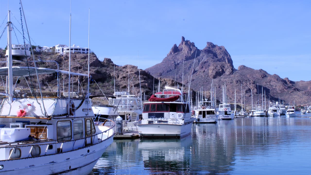 Cientos de barcos en la marina de San Carlos y al fondo su emblemático cerro Teta Kawi usuado como refugio en el pasado por indígenas seris y yaquis. Desde la mayor parte de los puntos de la localidad se observa esta montaña.