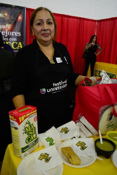 Festival Univision 2014