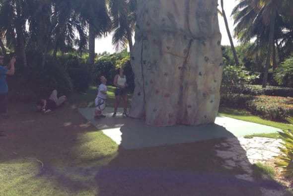 Aquí podemos darnos una idea de las dimensiones.