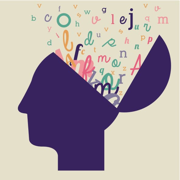 La Universidad Estatal de Michigan encontró que mientras dormimos el cerebro procesa recuerdos que forman la memoria sólida.