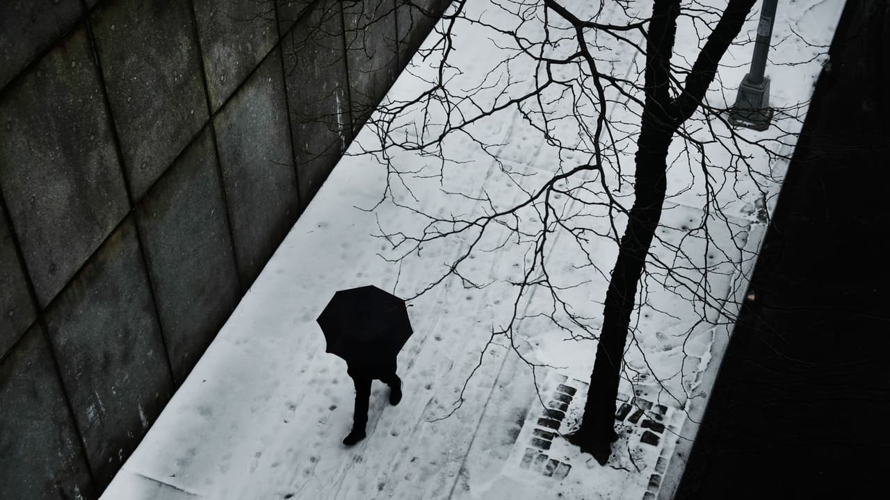 Nueva York se prepara para invierno temprano y hoy es día clave para el futuro de DACA