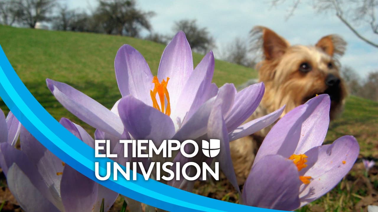 Temperaturas en ascenso: lo que indica el pronóstico para la mañana del viernes en Orlando