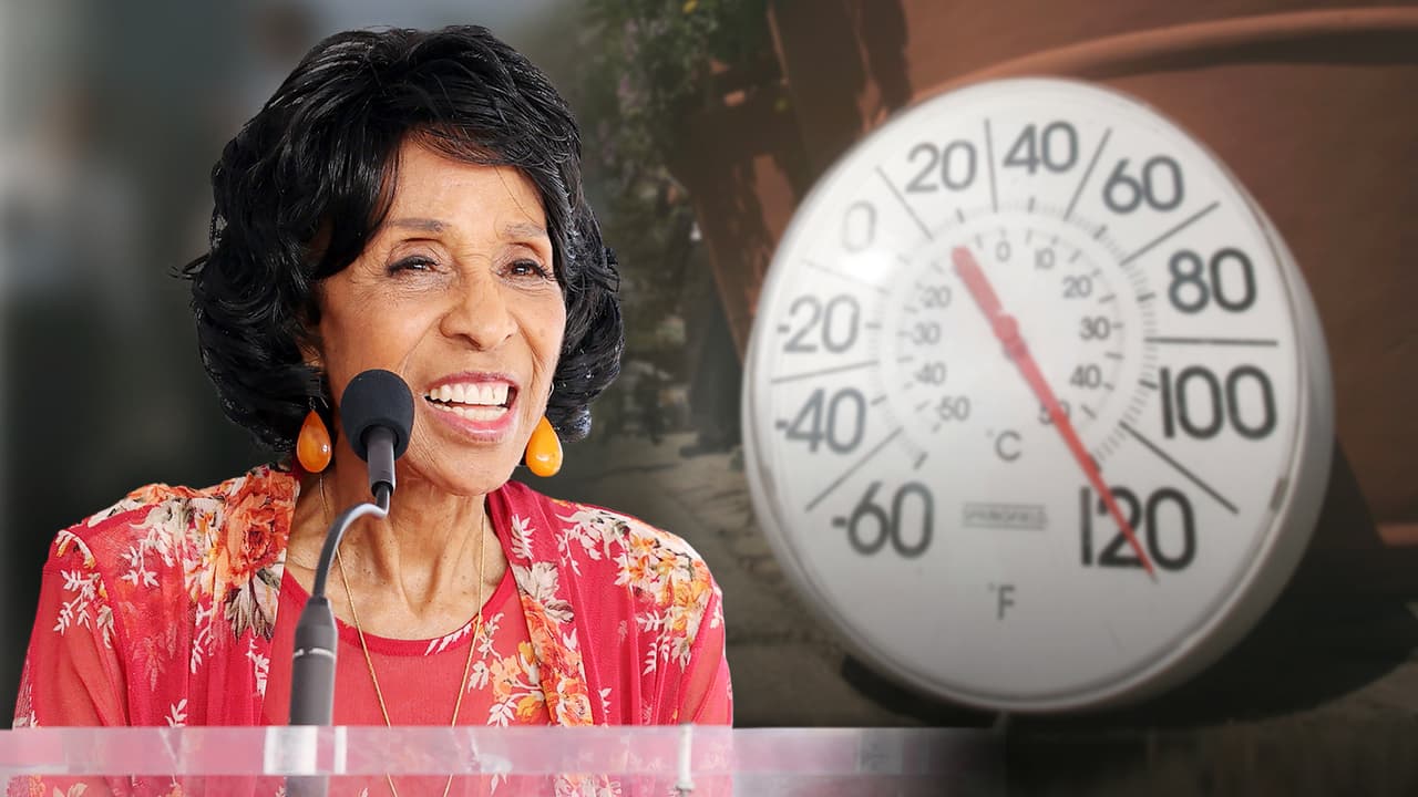Marla Gibbs dio un susto durante la develación de su estrella en el Paseo de la Fama