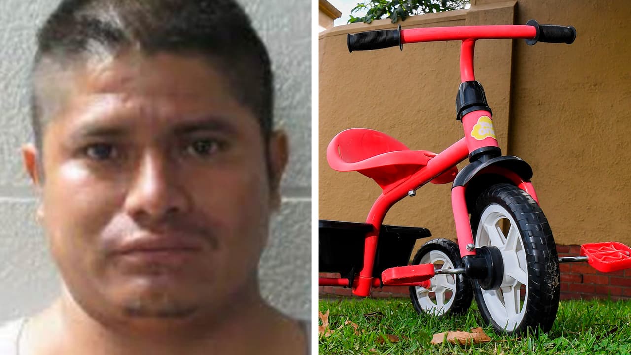 Muere atropellada niña de 3 años que jugaba en su triciclo: capturan a sospechoso que huyó del crimen