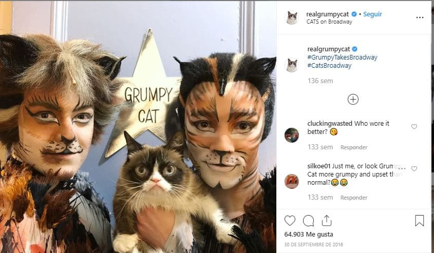 En septiembre de 2016, 
<b>Grumpy Cat</b> asistió al famoso musical 
<b><a href="https://www.instagram.com/p/BK_-HrGAurj/" target="_blank">‘Cats’</a></b>, en donde se dejó fotografiar con parte del elenco.