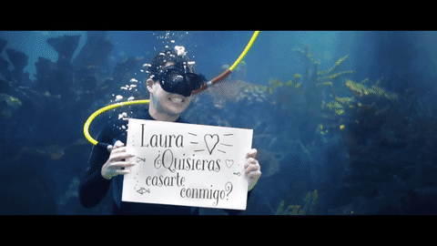 Otro divertido momento es este buzo con su propuesta bajo el agua.