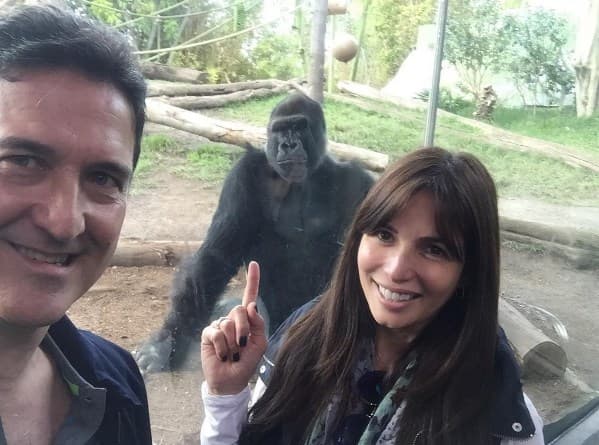 Hasta el amigo gorila del zoológico de San Diego nos regaló una bella imagen con la parejita.