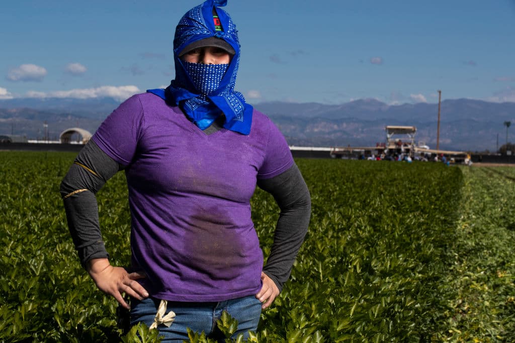 Medio millón de latinas fueron desterradas de la fuerza laboral durante la pandemia