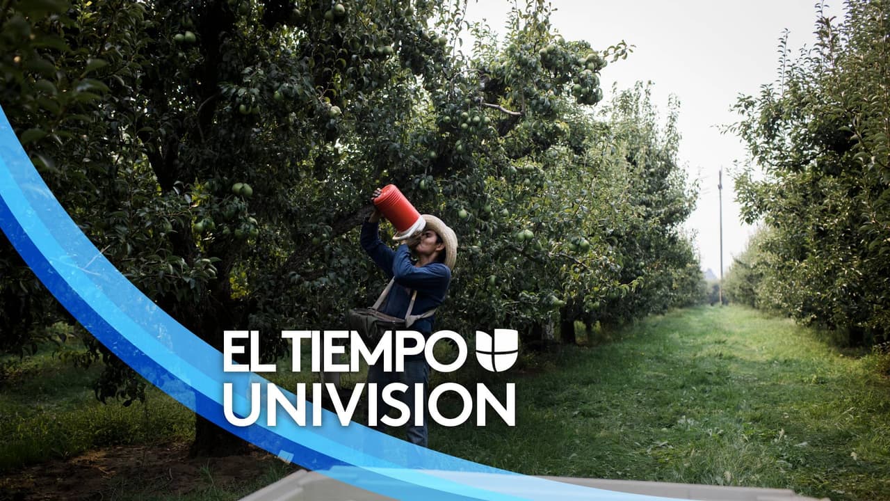 Actualización del tiempo: Jueves caluroso, soleado, ventoso y con niveles de humedad cómodos 