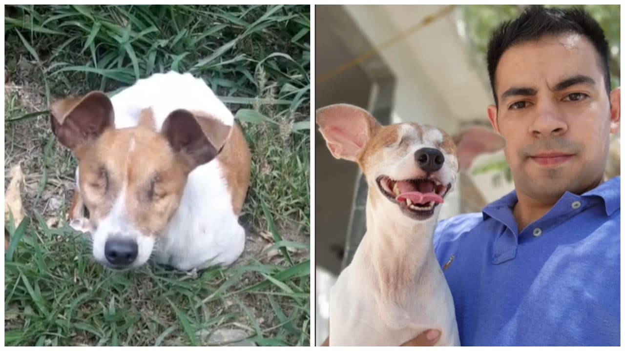 "La tiraron como basura": Hombre rescata a perrita sin ojos y su historia hace llorar a TikTok