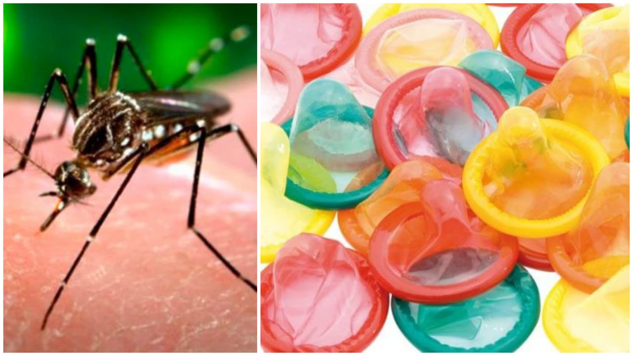 Nueva York dona 1 millón de condones a Puerto Rico para combatir transmisión del virus del Zika