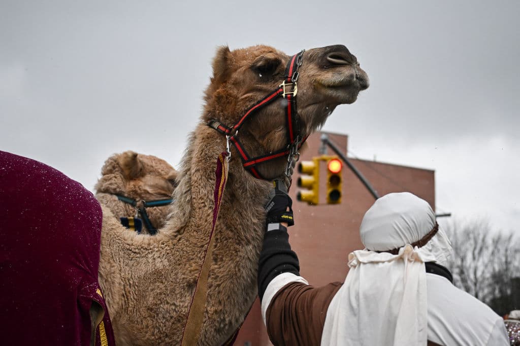 Las calles del barrio de El Barrio, también conocido como East Harlem, se llenaron de familias que disfrutaron de una procesión llena de color y música. Niños y adultos se reunieron para recibir a Melchor, Gaspar y Baltasar, quienes desfilaron montados en sus tradicionales camellos, acompañados de artistas, bailarines y músicos.