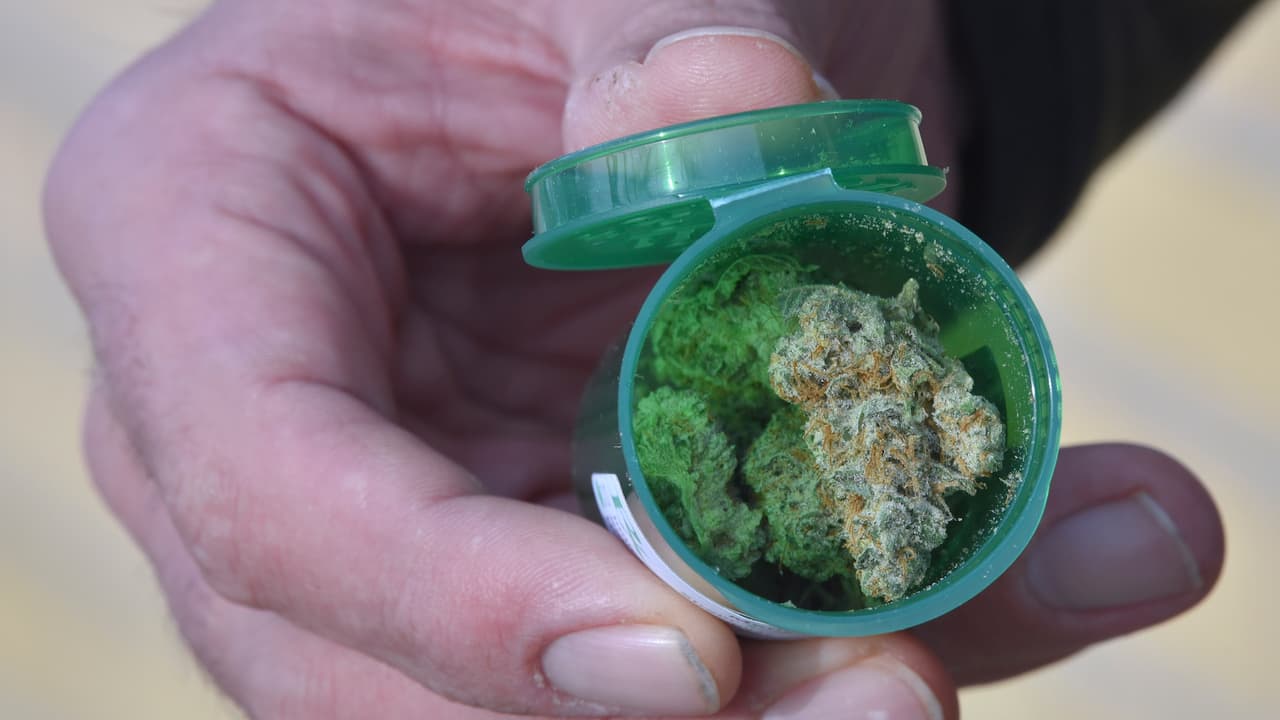 Delincuentes han estado robando marihuana medicinal en residencias de Chicago