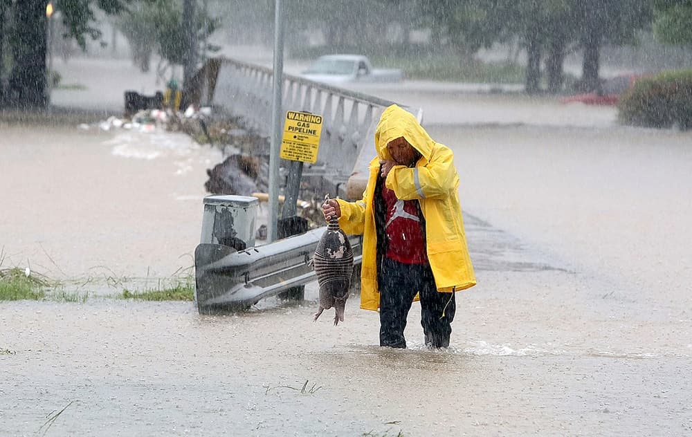 Un hombre rescata un armadillo de las fuertes lluvias en Houston.