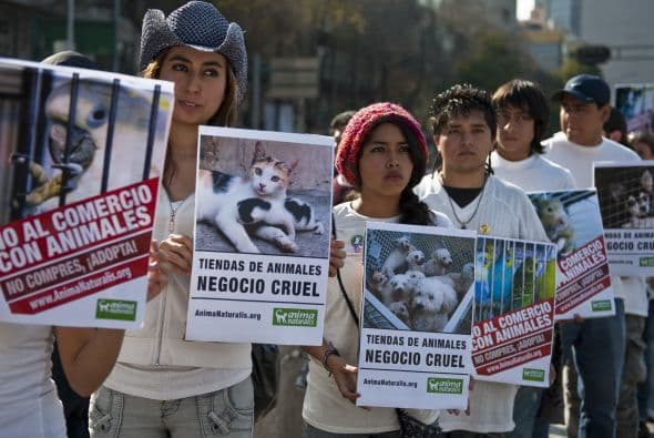 Unas 100 personas marcharon con pancartas y mensajes que decían 'No al comercio con animales. No compres ¡adopta!' y 'Tiendas de animales. Negocio cruel'.