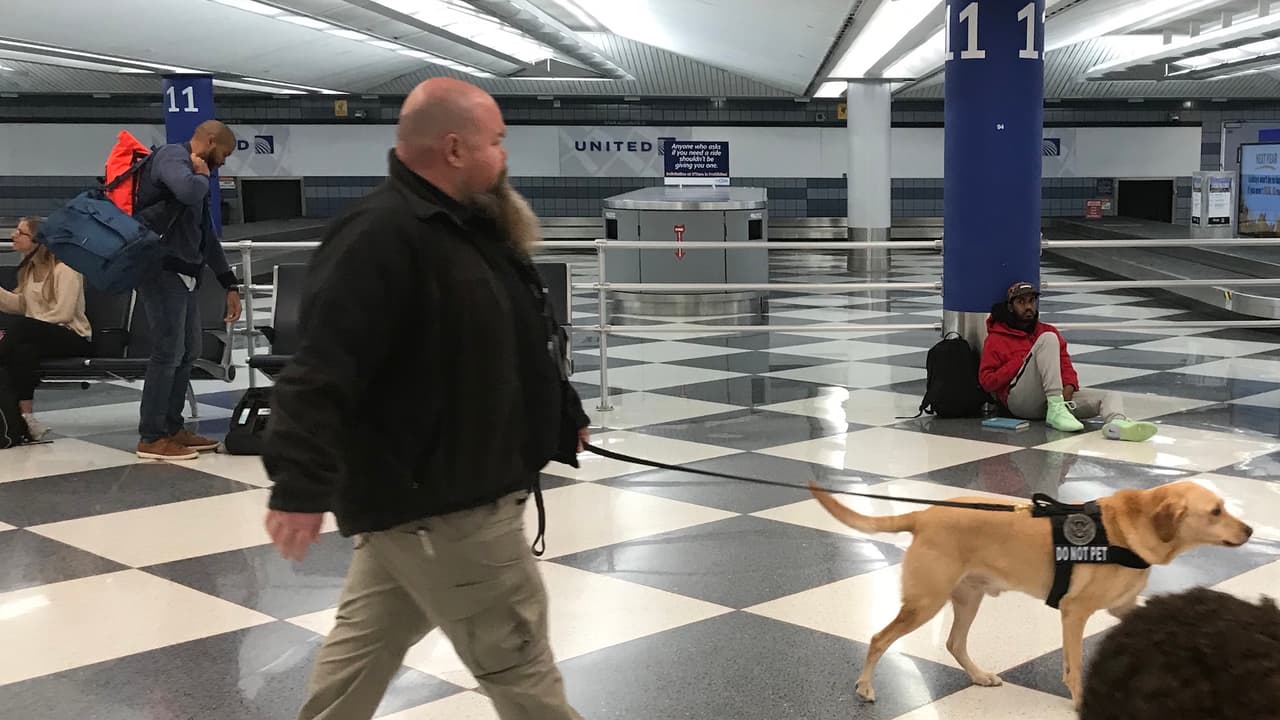 Chicago recibió este 27 de noviembre con lluvias y ráfagas de viento que superaron las 60 millas por hora. Sin embargo, todo transcurrió en horas de la mañana con tranquilidad y sin muchos contratiempos en O'Hare.