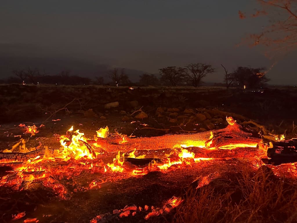 Un incendio forestal arde en Kihei, Hawái, la noche del miércoles 9 de agosto de 2023. Miles de residentes corrieron para escapar de sus hogares en Maui mientras las llamas arrasaban la isla, destruyendo partes de una ciudad centenaria en uno de los incendios forestales más mortíferos de EEUU en los últimos años.
