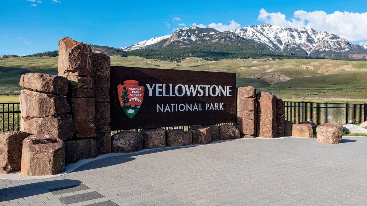 Uno o más osos atacaron a excursionistas en el Parque Nacional de Yellowstone