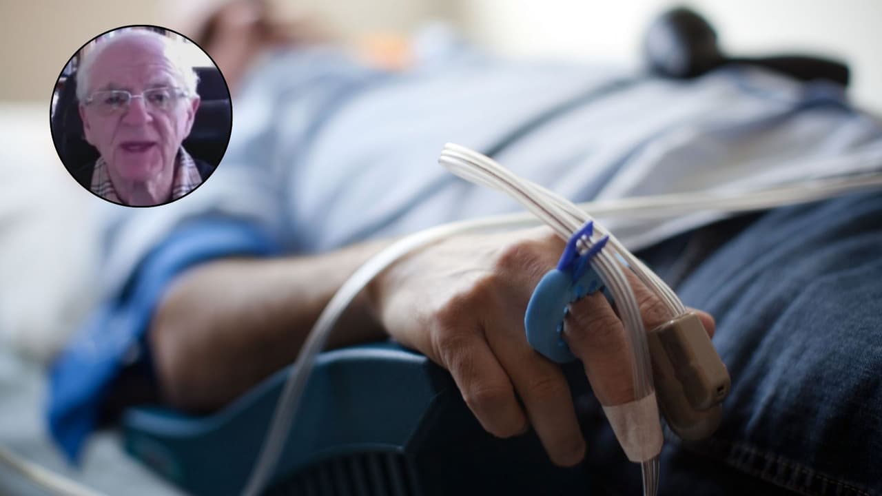 Dos casos del brote de salmonela en Texas por comer ostras crudas: ¿cómo afrontar esta infección?